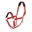Shires Topaz Nylon Headcollar - Red